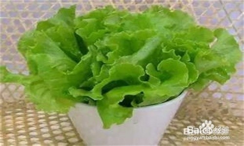 食物保存绝招