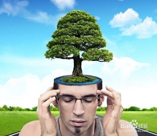 大豆卵磷脂的功效