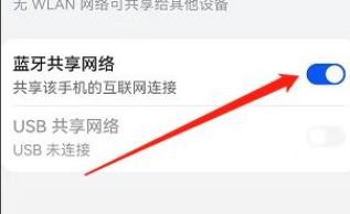 鸿蒙手机系统如何打开蓝牙共享网络？