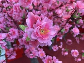 苹果7手机拍照技巧