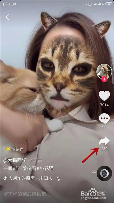 抖音小花猫特效在哪小花猫特效视频怎么拍