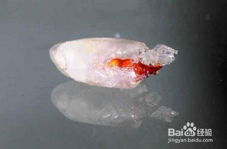 米放久了会有虫子，那么问题来了，那些虫子都是哪里来的呢？