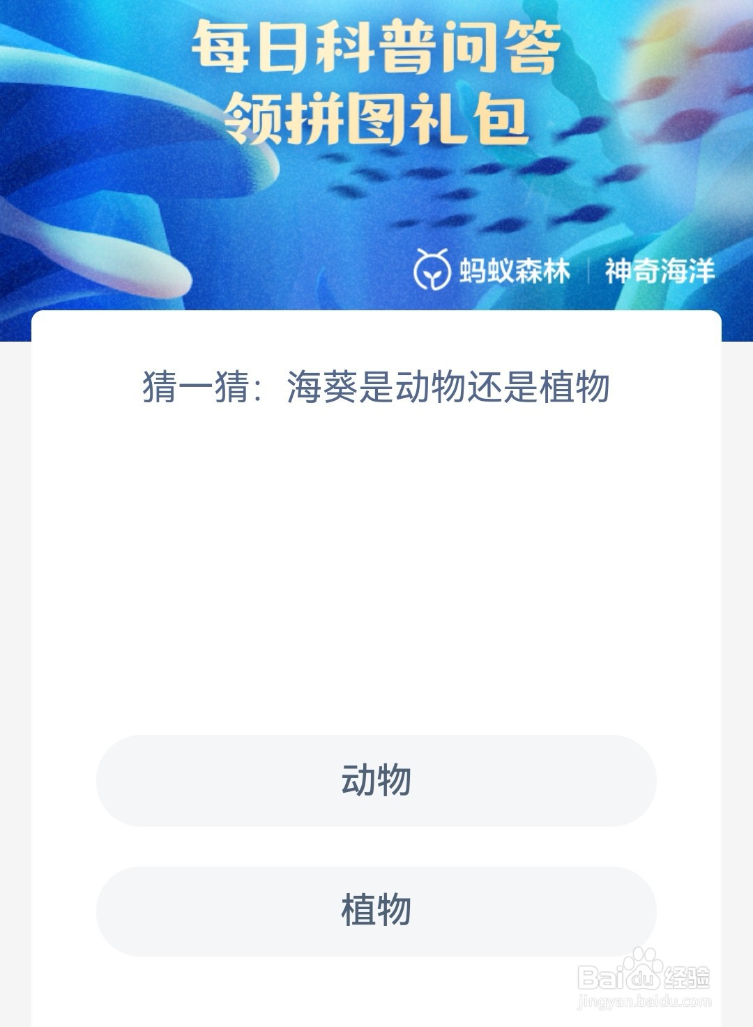 神奇海洋猜一猜海葵是动物还是植物