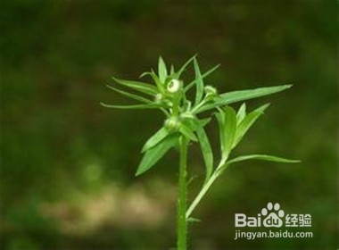 不要盯着别人的缺点不放