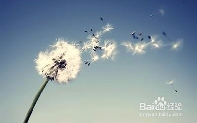 怎样做一名合格团员