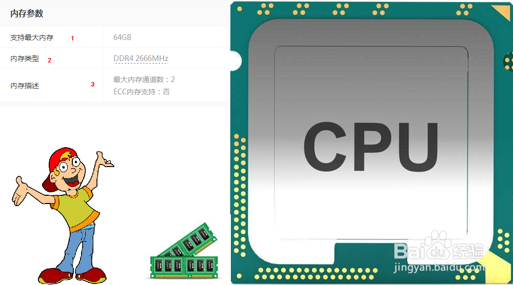 台式机怎么选内存