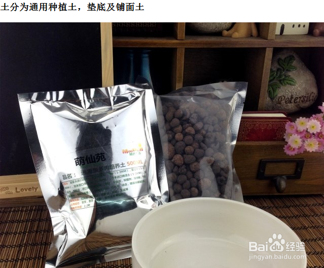 肉肉植物盆栽拼盘