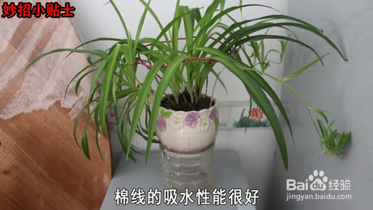 如何制作养花神器？