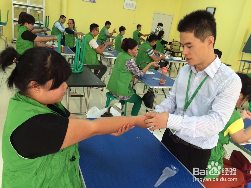 去哪学宠物美容