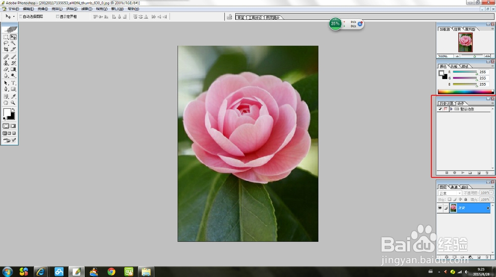 photoshop中如何对排版寸照设置动作