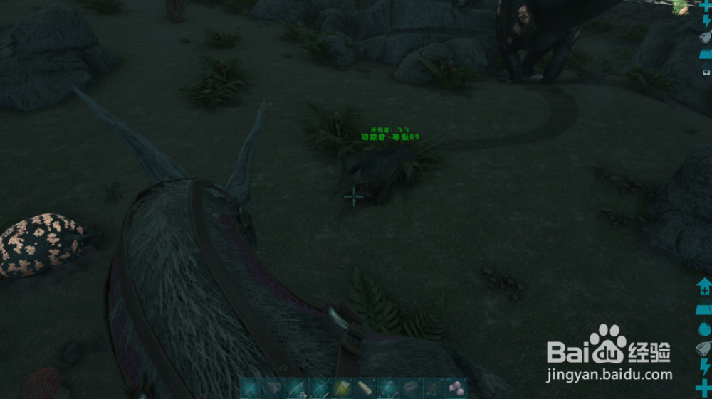 方舟生存进化劫掠者如何驯服