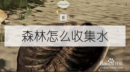 可以通过制作龟壳蓄水器和锅收集水工具/原料 游戏版本:森林v1