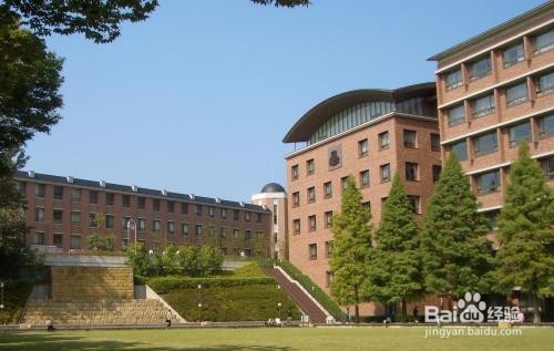 大学志愿填写策略