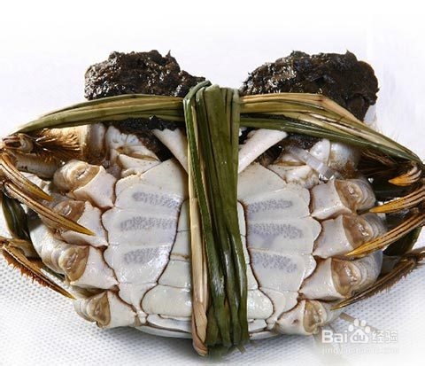 阳澄湖大闸蟹