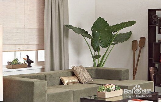 居家布置千万别犯这些错误!