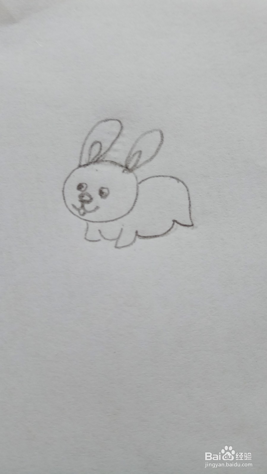 儿童简笔画彩色小兔子的画法