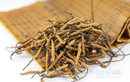 冬虫夏草酒价格多少钱合适