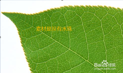 如何用PS制作水珠?