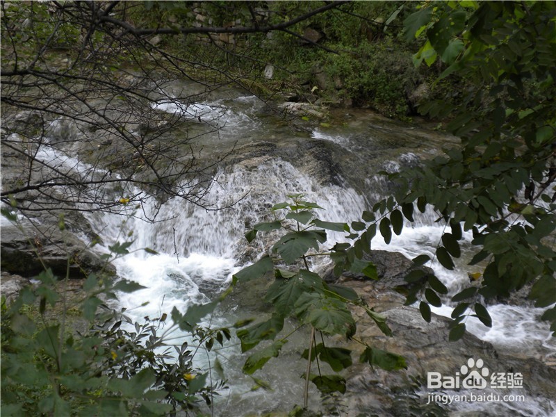 山东到哪儿去爬山？（一）