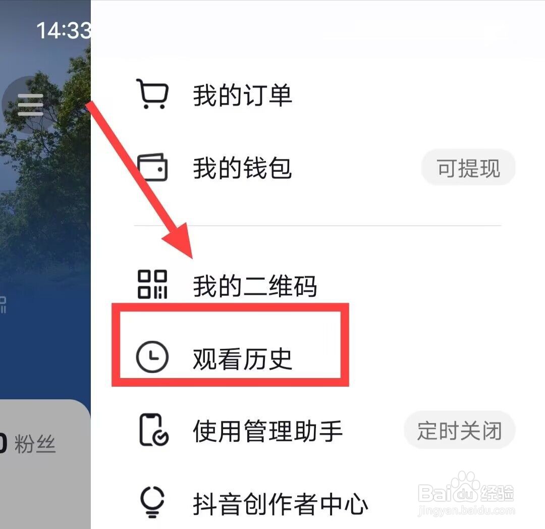 在抖音极速版中，如何查看观看历史？