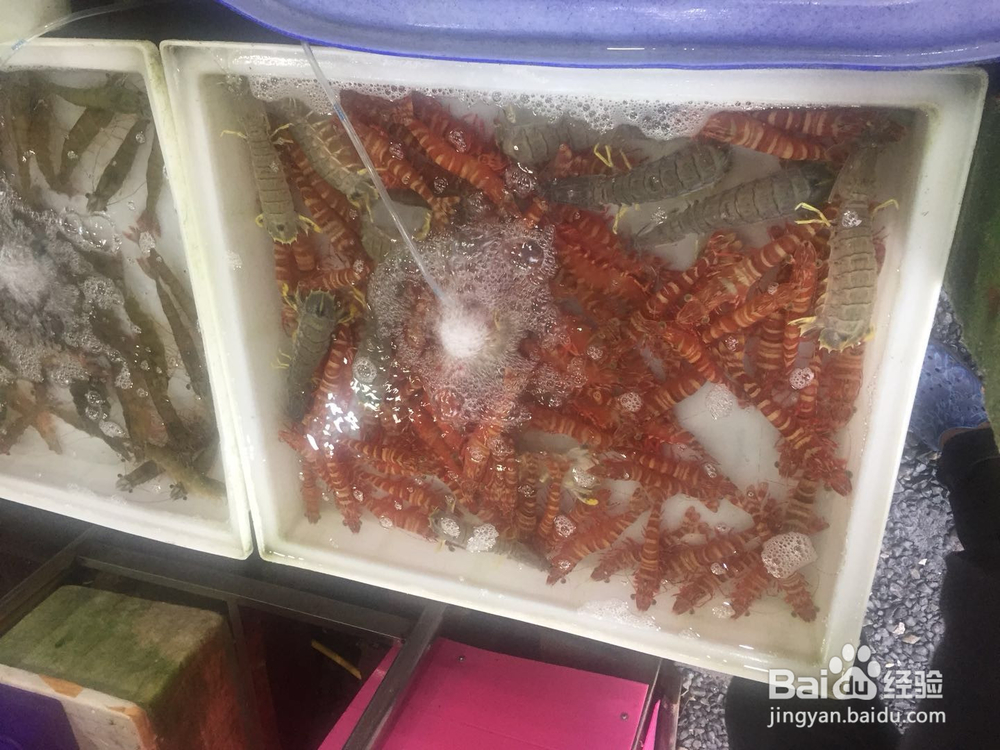 泰国普吉欢乐5晚7日游怎么样？