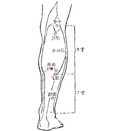 体内湿气重怎样祛除