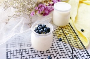 教大家如何制作自制无添加健康的蓝莓酸奶