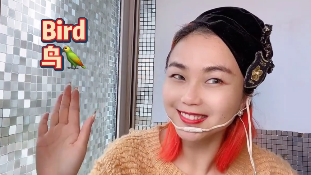 各种动物的英文是什么