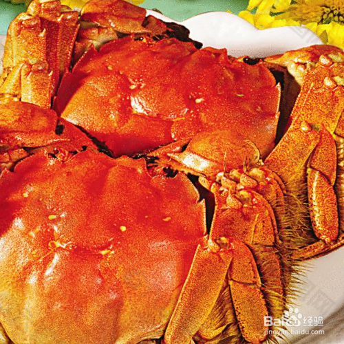 为什么大闸蟹的黄是稀的