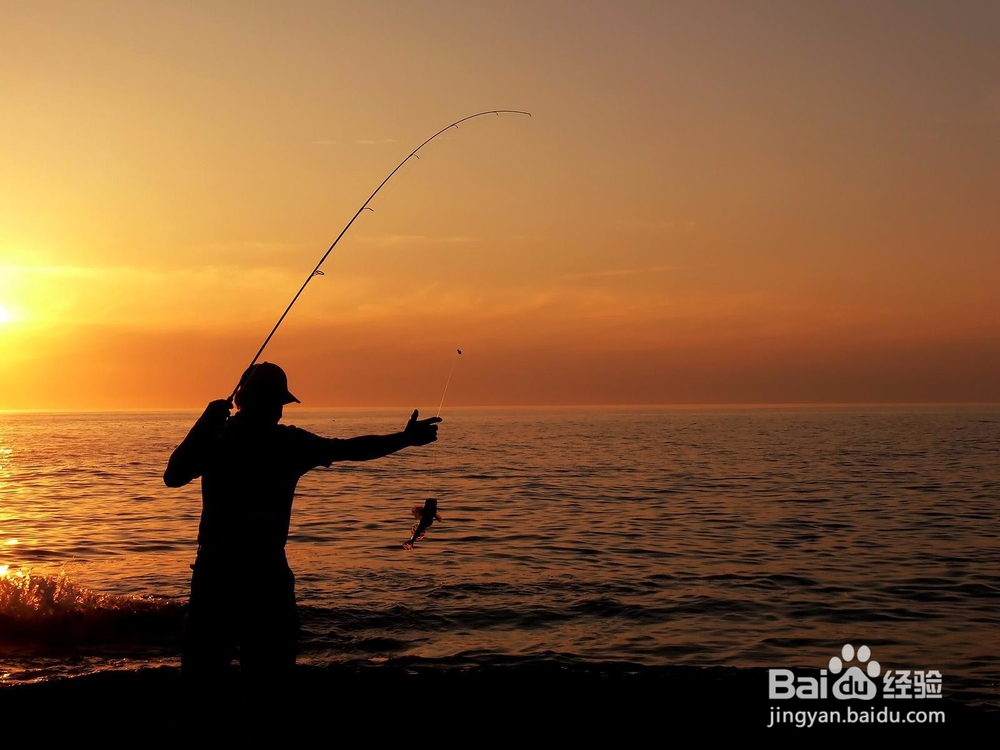 怎么学习钓鱼