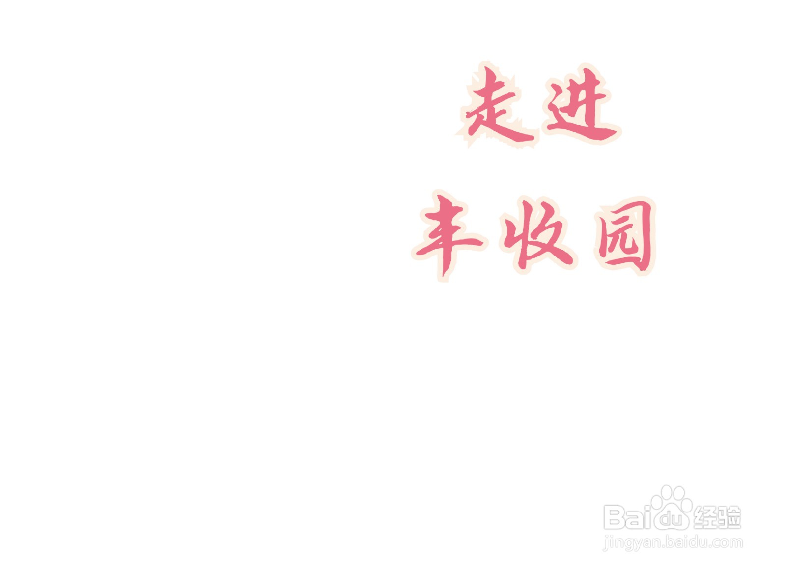 走进丰收园手抄报