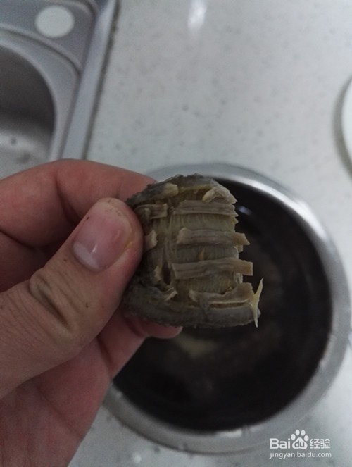 干海参怎样泡发