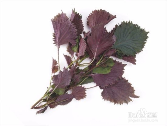 麻辣田螺的做法