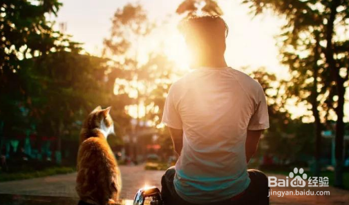 怎么通过锻炼我们的双腿来提高我们自己的健康