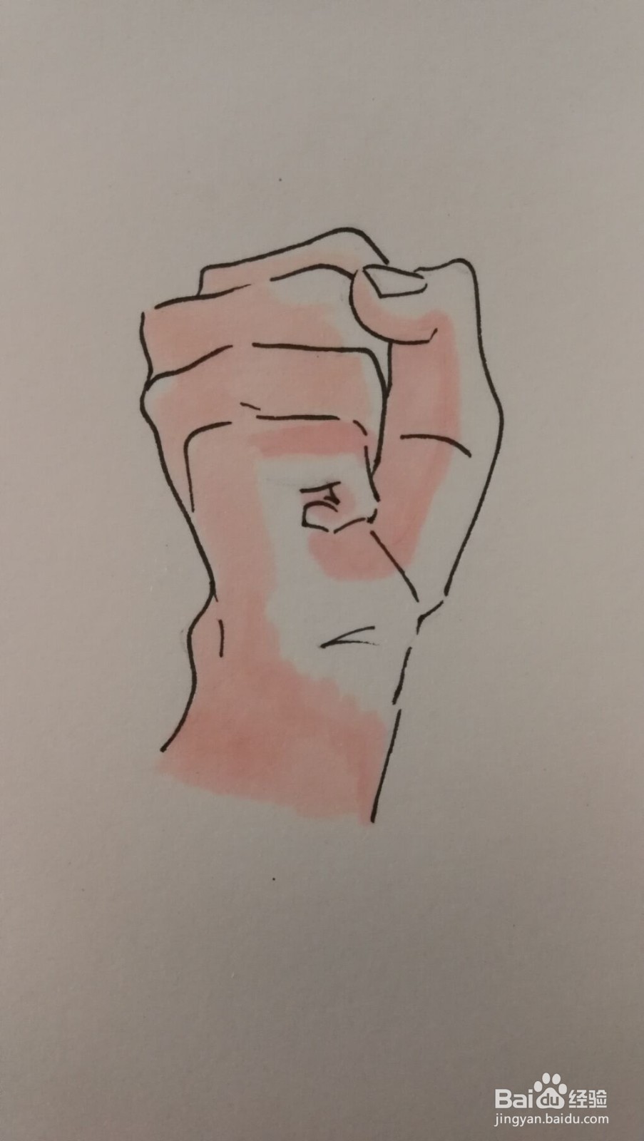 #经验分享官#正面握拳的右手画法