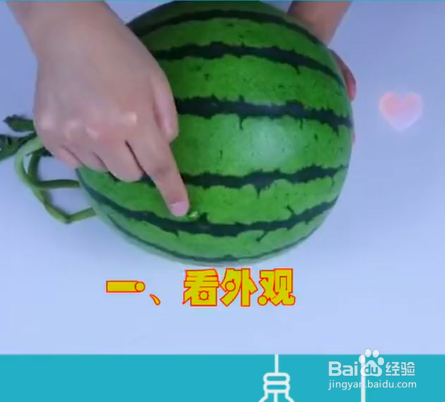 如何挑选西瓜？