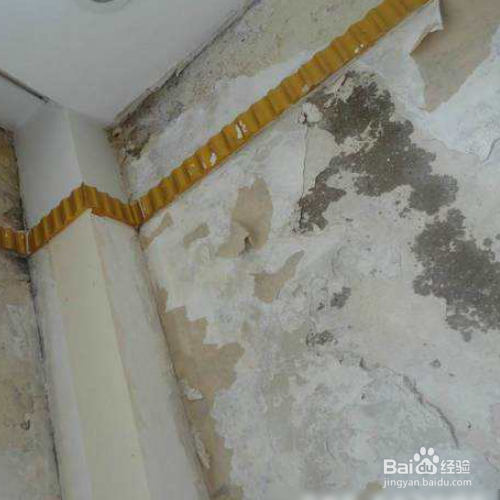 墙体发霉怎样彻底处理