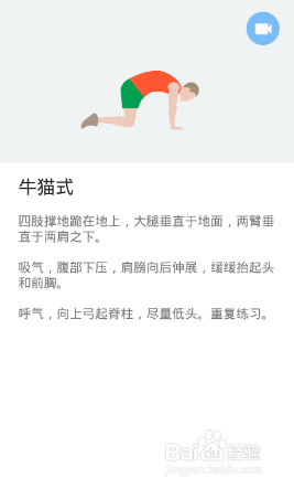 全身7x4挑战（运动：17）（第二周：第9天）