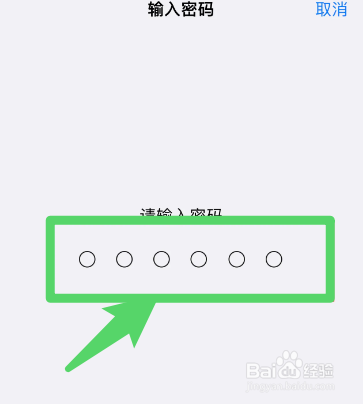 13为什么设置不了口罩面容
