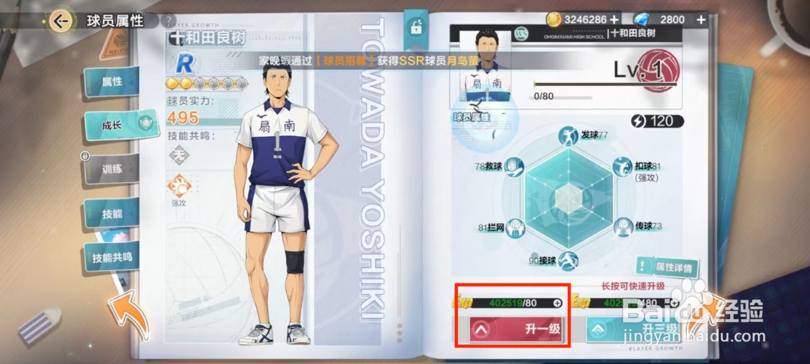排球少年新的征程如何提升十和田良树等级？