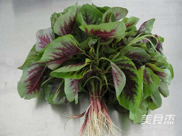 蒜蓉苋菜的做法