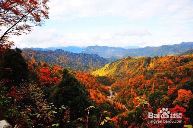 光雾山自驾游攻略