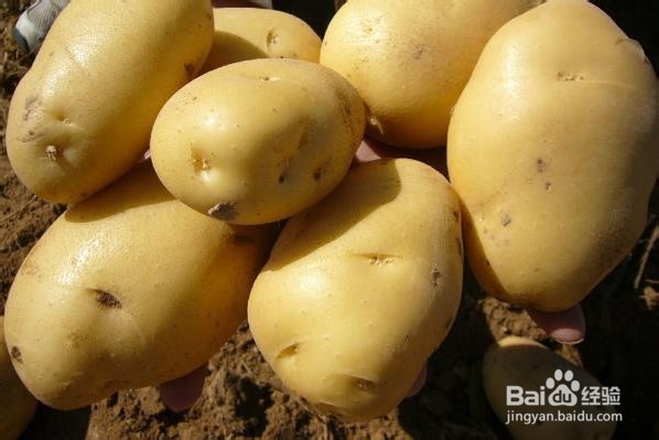 如何使用土豆轻松护肤