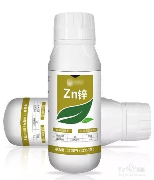 女性须知:叶酸虽好,但别补过量