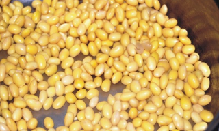 孜然香酥小黄豆