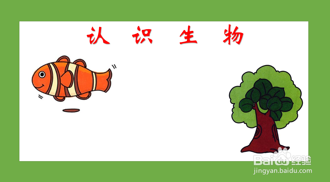生物手抄报简单又漂亮
