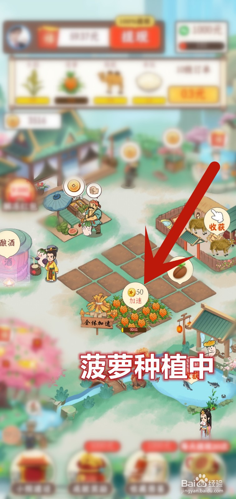 如何在桃源秘境解锁菠萝土地种植