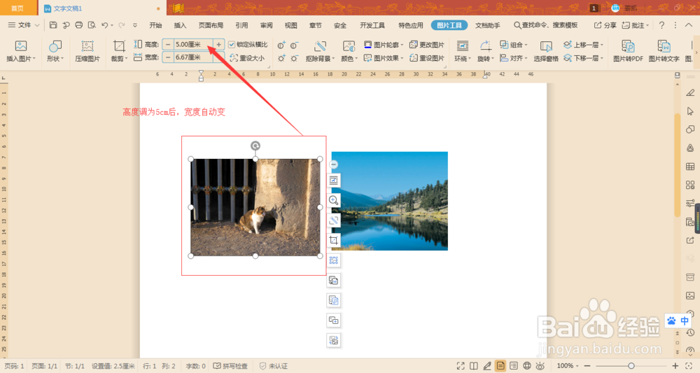 Word如何让两张图片在不裁剪的情况下宽高相同