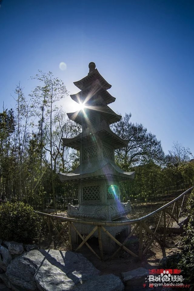 单反相机怎么用鱼眼镜头拍好照片