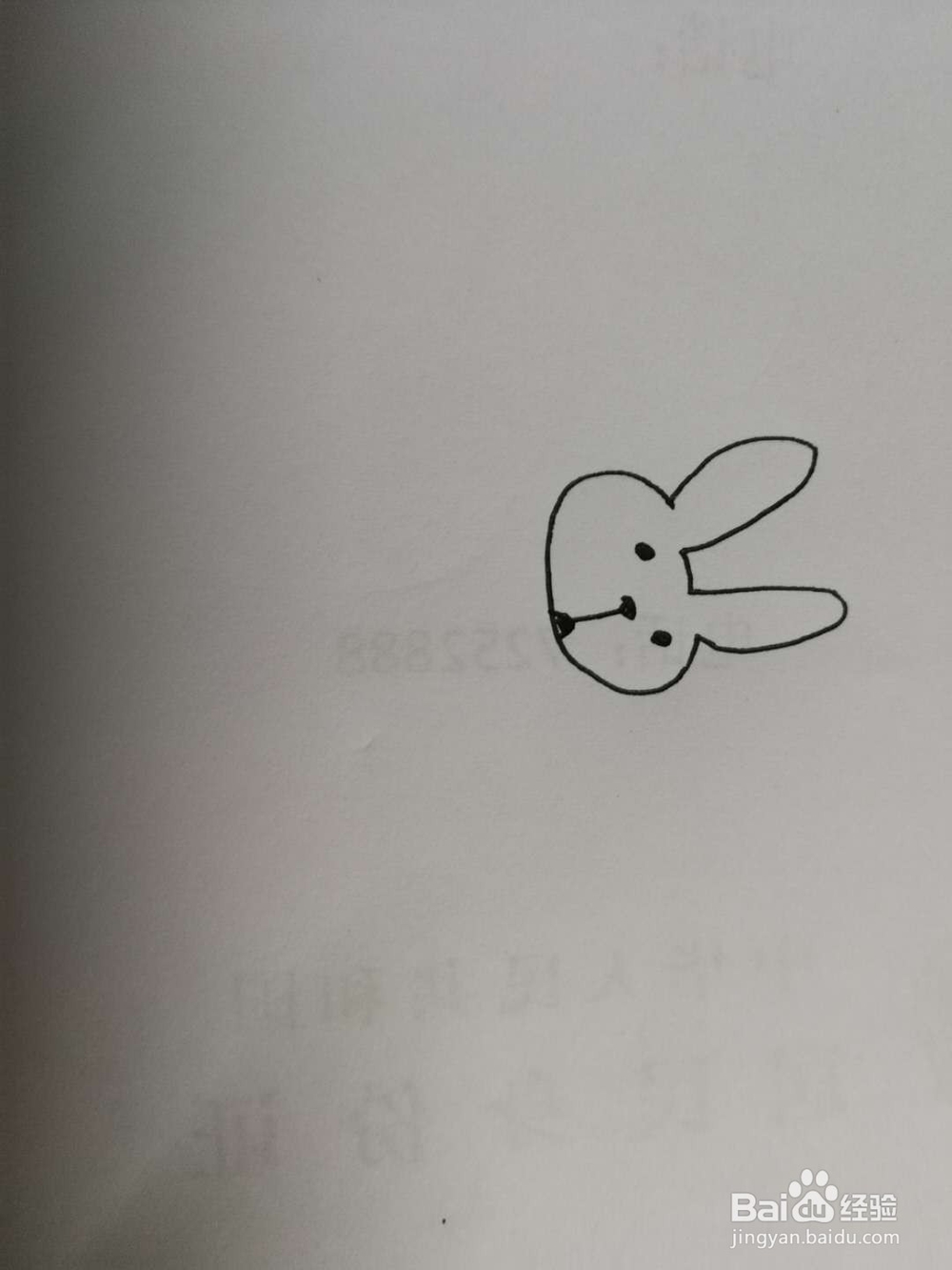 简笔画抱着萝卜的兔子